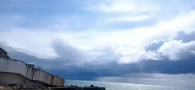 Сосновый - 80