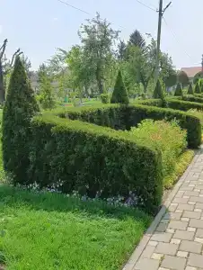 Великовечное - 63