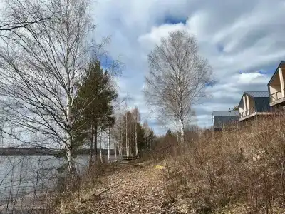 Лунный свет - 70