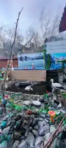 Медвежий угол - 82