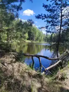 Железинка - 22