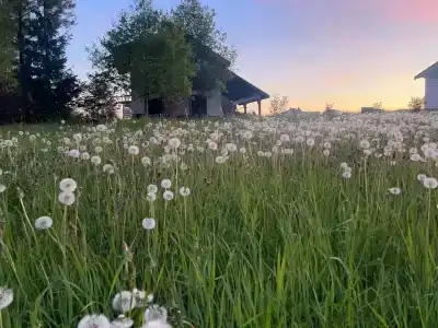 Елизарово - 10