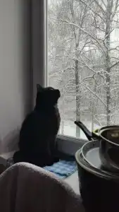 У трёх вышек - 20