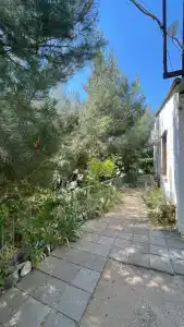 КристОля - 23