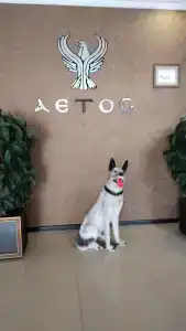 АЭТОС - 15
