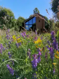 Глэмпинг Zefirka Camp - 85