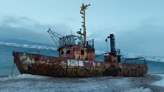 Морошка - 44