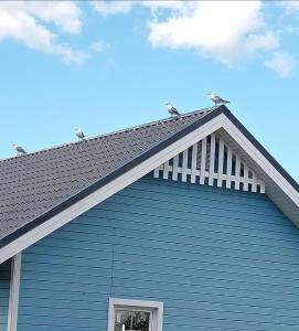 Чайкина дача - 8