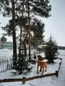 Прииртышье - 8