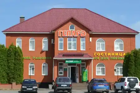 Гепард - 5