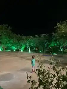 Золотые Пески - 61