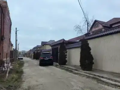 Хозяйка Гор - 11