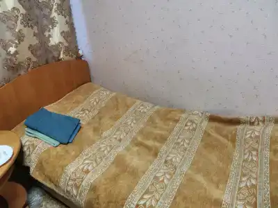Сова - 11