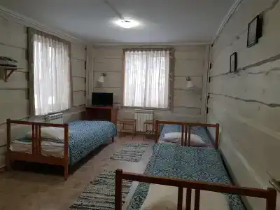 Ласточка - 4