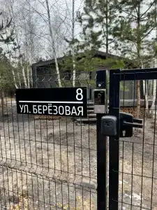 Betula - 4