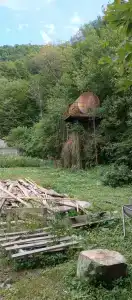 Буревестник - 17