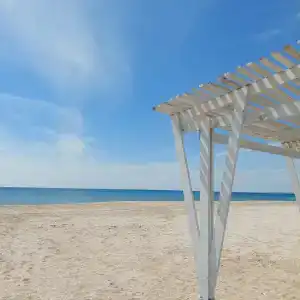 Ковчег - 2