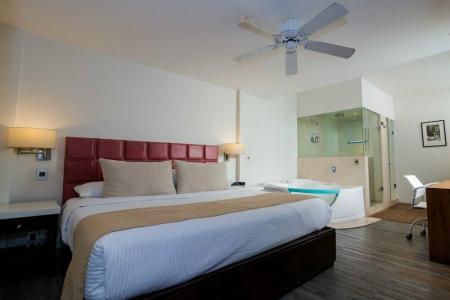 FlowSuites Polanco - 18