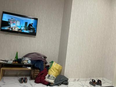 Пальмира - 63