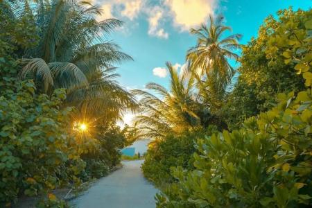 Rahaa Resort - 28