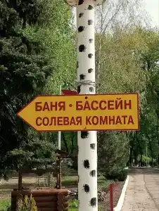 Березка - 15