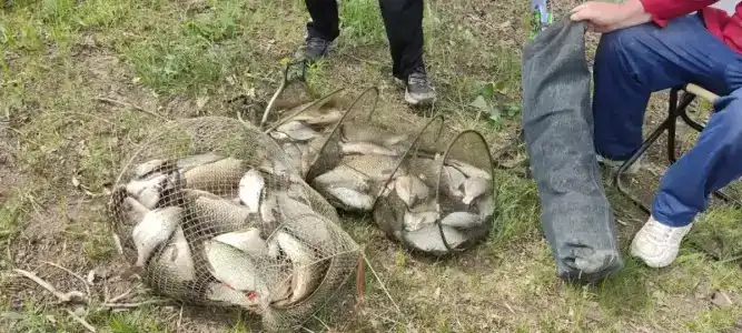 Дедушкин хутор - 97