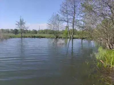 ЭкоОстров - 69