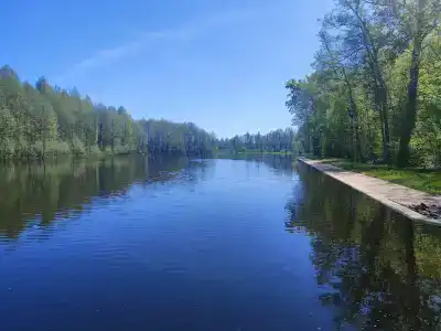 Березинская Дубрава - 2