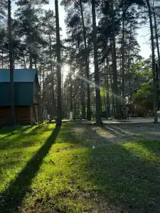Сосновый бор - 19