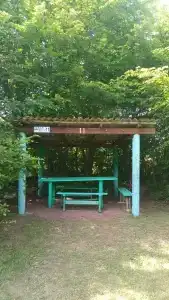 Скелепарк - 64