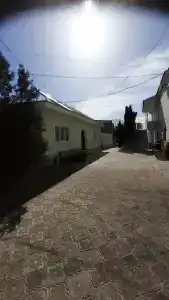 Соленый пес - 43