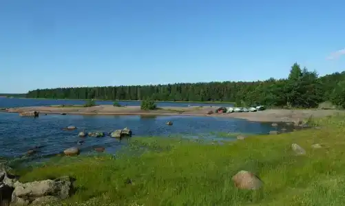 Динамо - 18