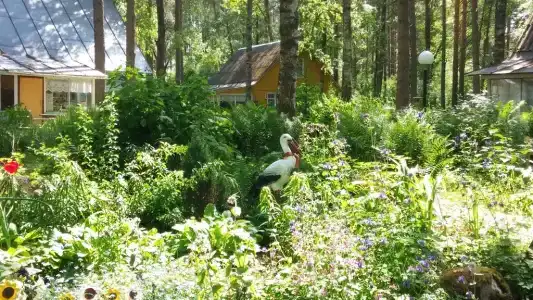 Холодный ручей - 16