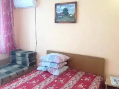 Стрижи - 4