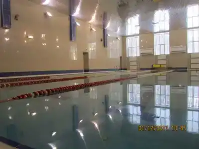 Лесной - 0