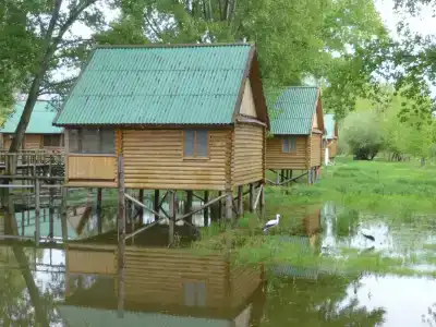 Прокоста - 1