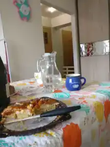 Bed and Breakfast in Pine forest - 3