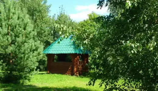 Кедр - 12