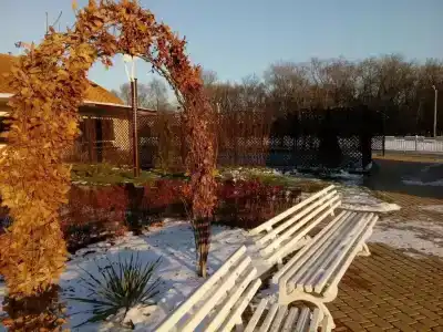 База отдыха Palace Resort Венеция - 93