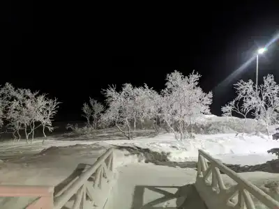 Канентъявр - 78