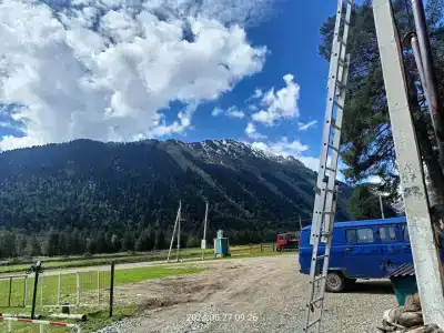 Сосны - 33
