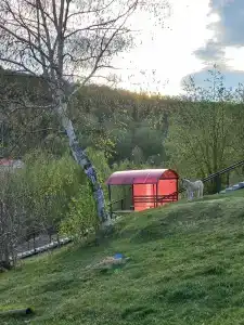 Анненские Воды - 84
