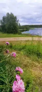 Гостевой дом на озере Стреглино - 42