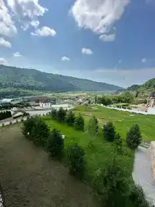 АртАри - 31