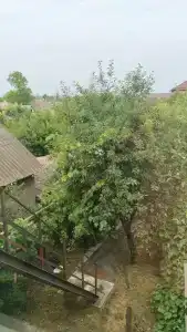 Катюша - 19