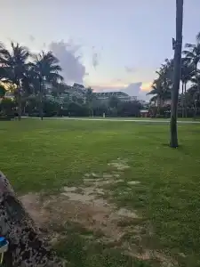 Sheraton Sanya Yalong Bay Resort - 46