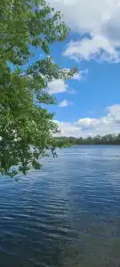 Чардым-Дубрава - 37