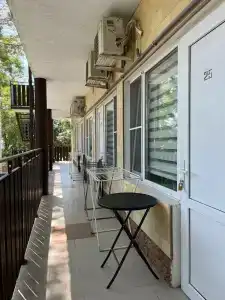 Светлана - 53