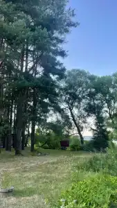ГаммаСофт - 39