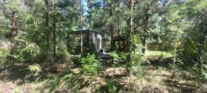 ForestHouse Лесной домик - 60